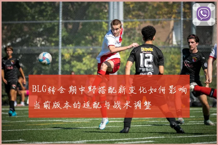 BLG转会期中野搭配新变化如何影响当前版本的适配与战术调整