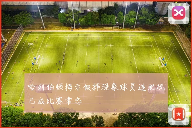 哈利伯顿揭示假摔现象球员造犯规已成比赛常态