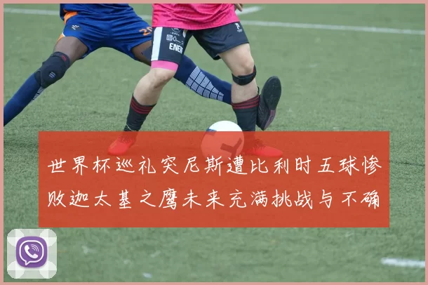 世界杯巡礼突尼斯遭比利时五球惨败迦太基之鹰未来充满挑战与不确定性